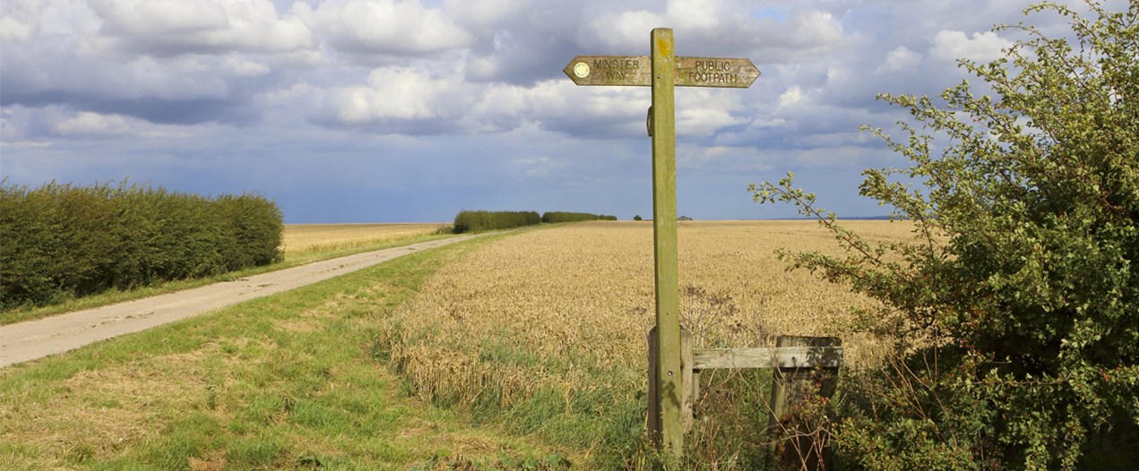 Embrace the outdoors at the Yorkshire Wolds Walking Festival
