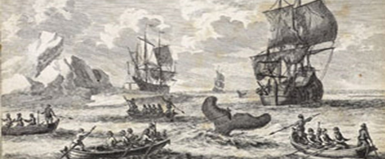 history of hulls whaling industry.jpg