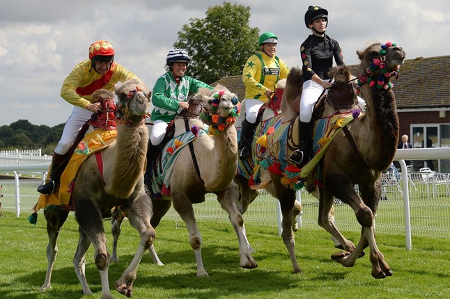 Beverley Races gallops ahead with exciting plans for new season 3.JPG