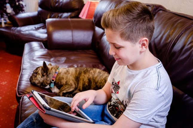 Young boy using tablet_Young boy on sofa using tablet with a dog in the background._At home.jpg