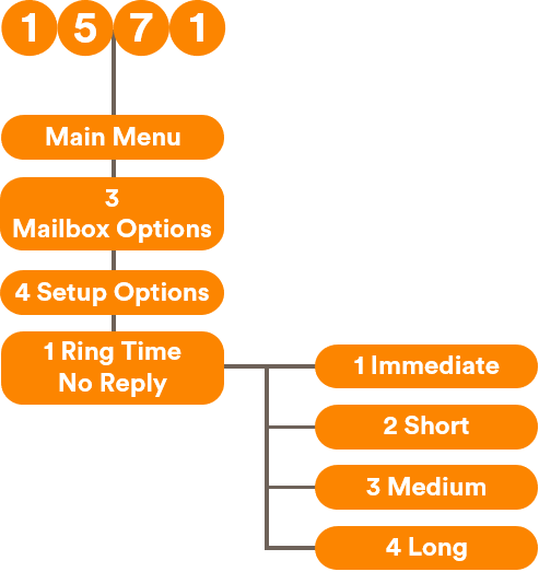 Ring Time No Reply
