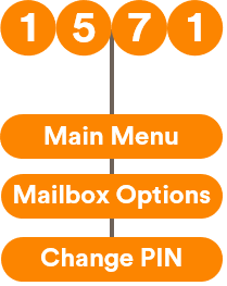 Change PIN by Voice