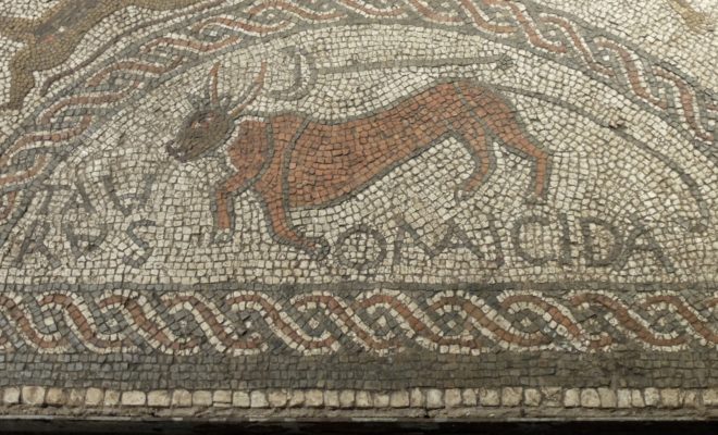 Mosaic artwork of bull at Hull Museum