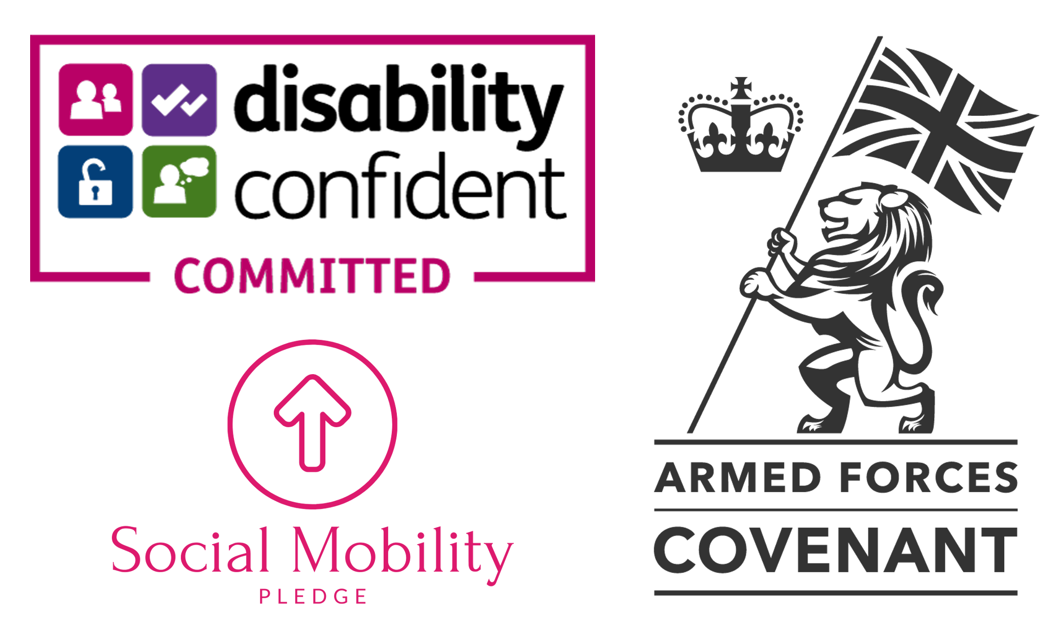 'Disability Confident', 'Social Mobility Pledge' and 'Armed Forces Covenant' logo