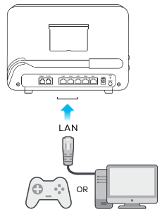 Connecting Devices LAN